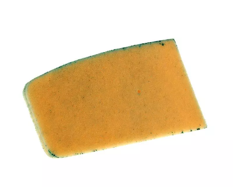 allesvoorscooters1-1202037