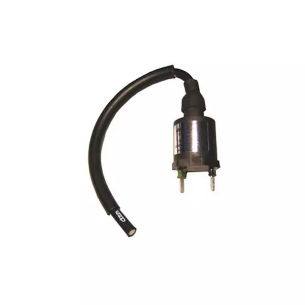 gmoto-1236817