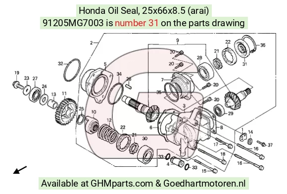 goedhartmotoren2-119381