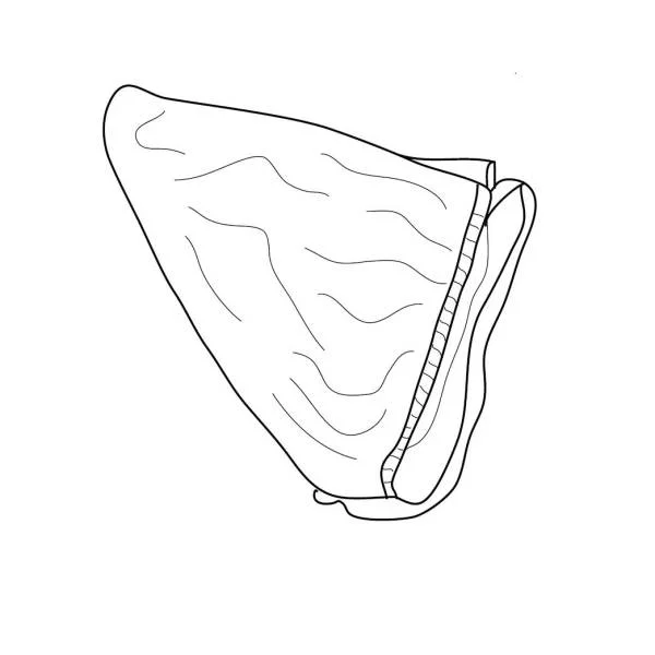 hollandbikeshop1-1306441