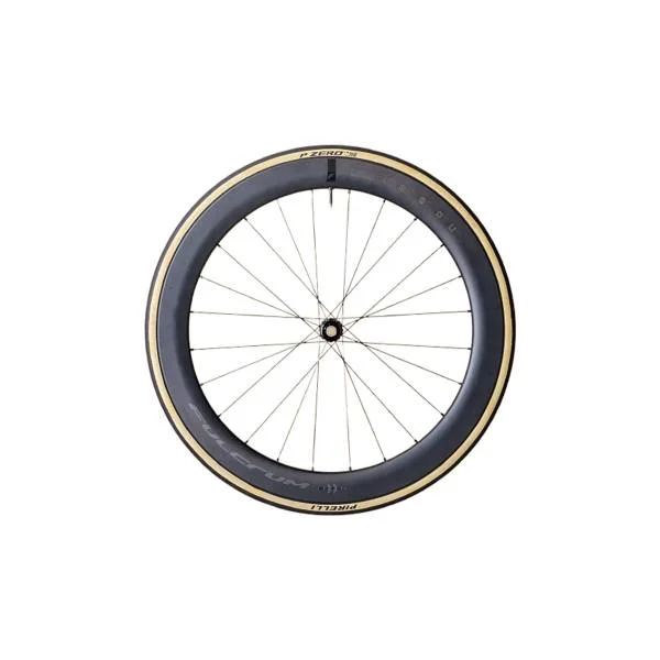hollandbikeshop3-26917