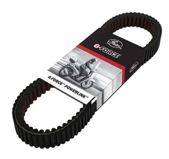 media.motoblouz6-262844